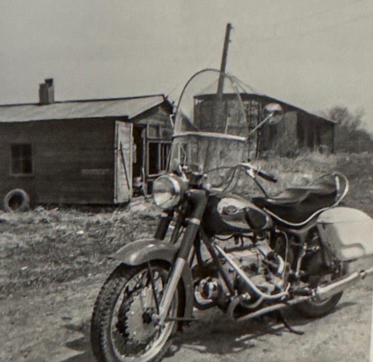 Living On Violence, Chaos, and Fear