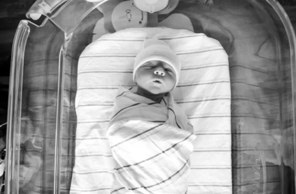 I’m Still Alive, and I’m Actually All For It.